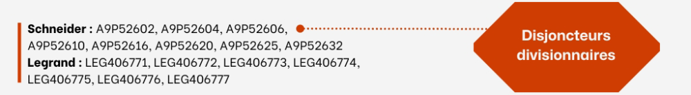 Disjoncteurs divisionnaires One-Elec