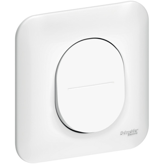 Ovalis - rocker switch - 2-way - 10 AX - white - siliconproof - S260204 main product photo