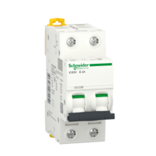 iC60H 2P 2A B - A9F83202 main product photo