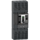 circuit breaker, ComPacT NSX1000 TM-DC, 2 poles, 1000 A, 50 kA at 600 VDC, without bare cable connector - C1BN2TM10HD